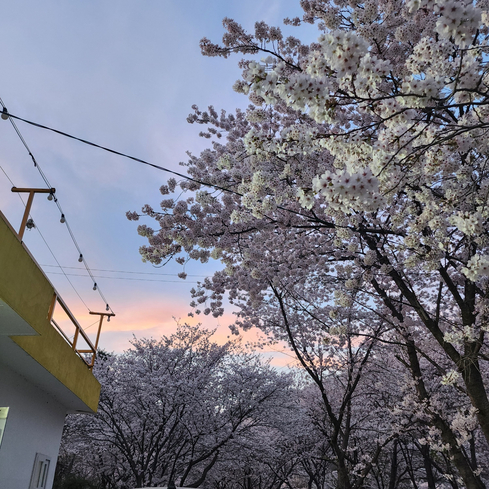남도187 외관